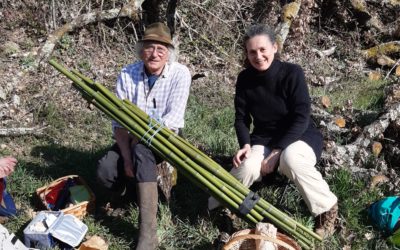 Reportage cueillette bambou et roseau et pré-fabrication de flûtes de pan