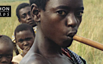 Mon article sur les différentes familles de flûtes (média Colophon Records)